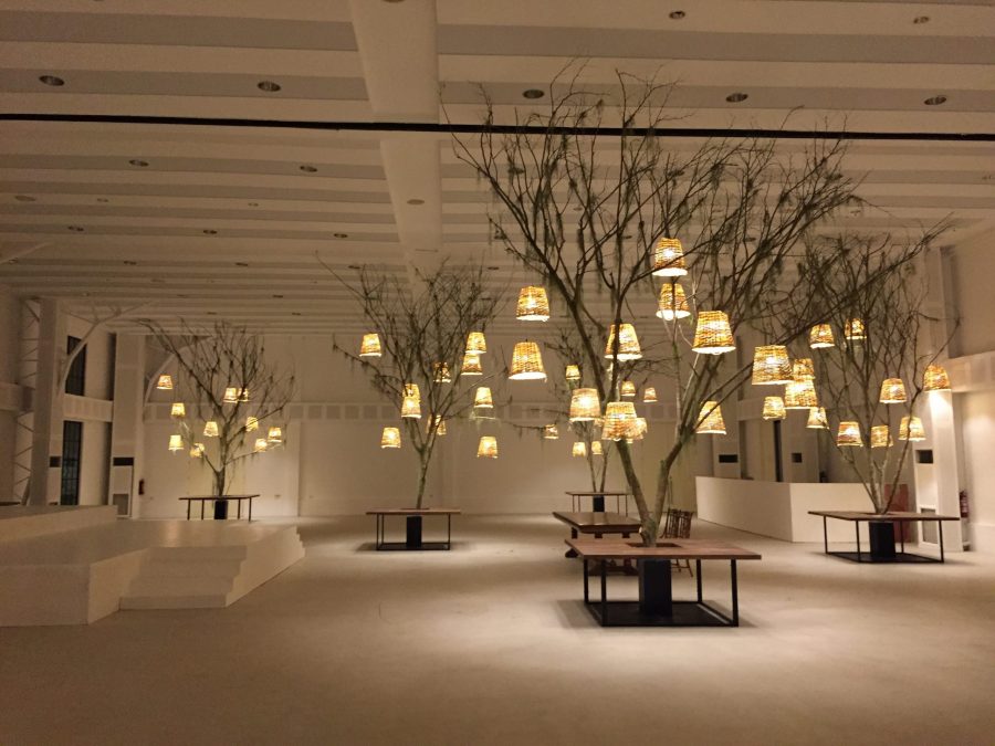 VILLONCO-VALDERRAMA 2016 A