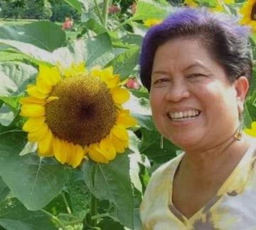 The time I spent with my sunflower