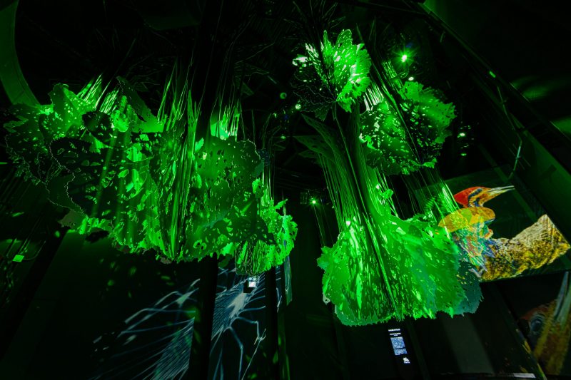 Copy of 210929_PH Pavilion-021