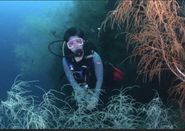 Thank you in advance, 2023