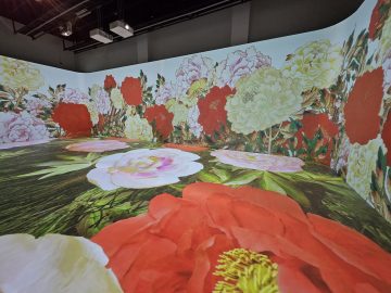 There's a Red Sleeve moment in immersive Korean digital art exhibit