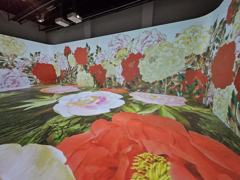 There's a Red Sleeve moment in immersive Korean digital art exhibit ...