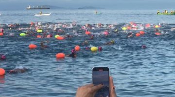 Surprise race with a butanding in Batangas