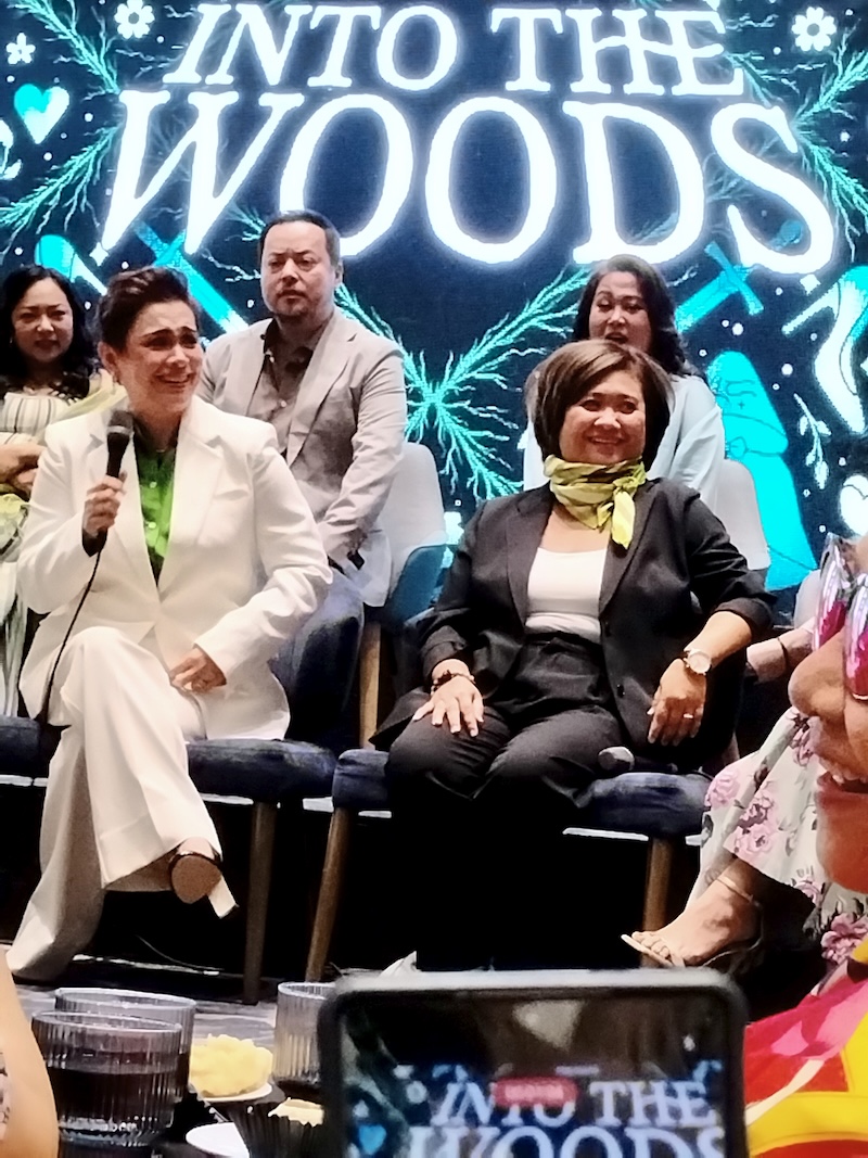 Into the Woods cast