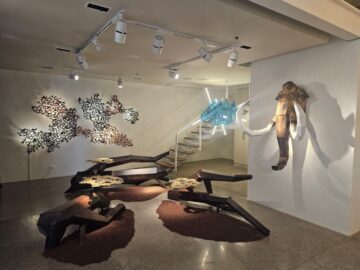 Tiotuico, Buensuceso, New,  d’Aboville, Manahan take you to an imagined realm