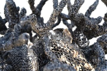 Silverlens presents Poklong Anading, Carina Santos