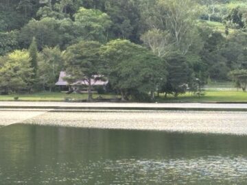 When 5 Theresians discover Bukidnon, the fertile spiritual soil