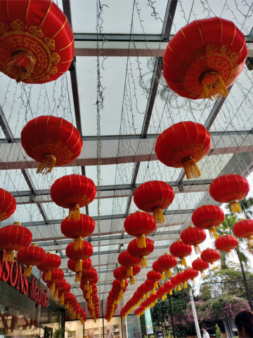 A visitor connects through Chinese New Year celebrations