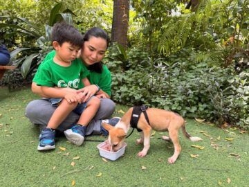How to help animals in need through GrabMart